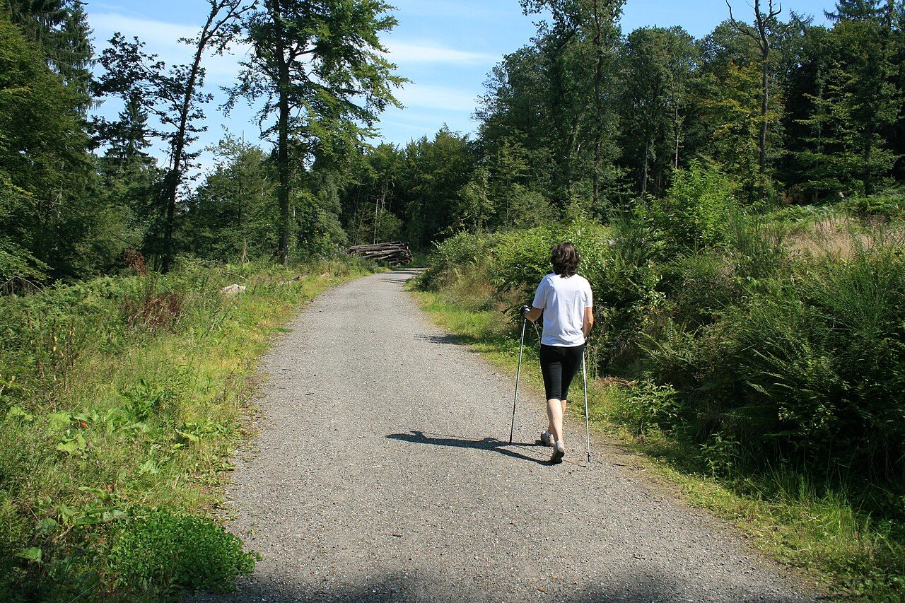 Nordic Walking TuS Sasbachried